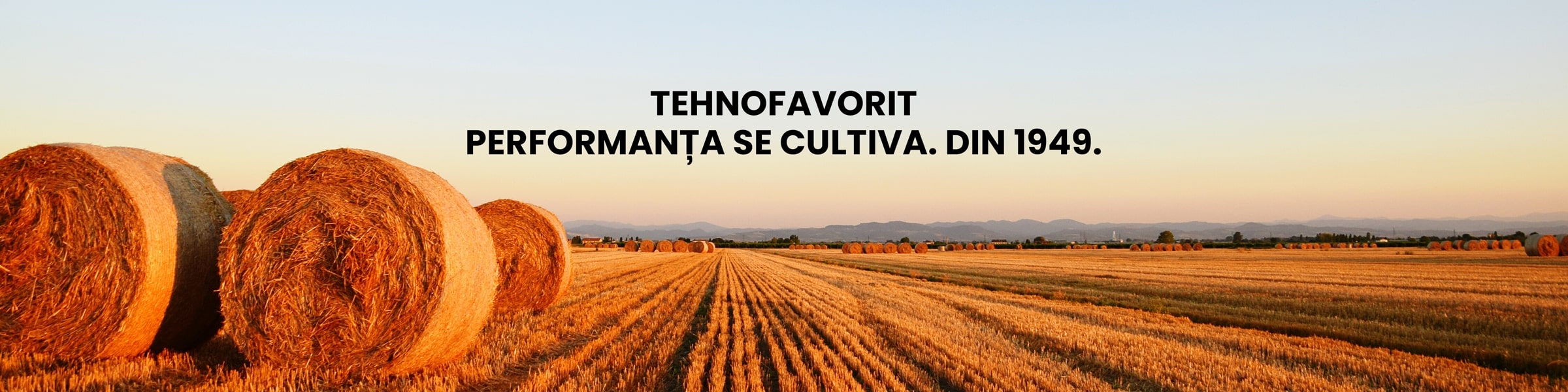 Tf 2400x600 7a824adf 1ee6 4512 be7f ee924808da33